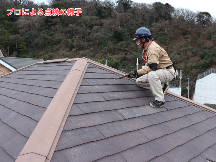 プロによる屋根点検の様子